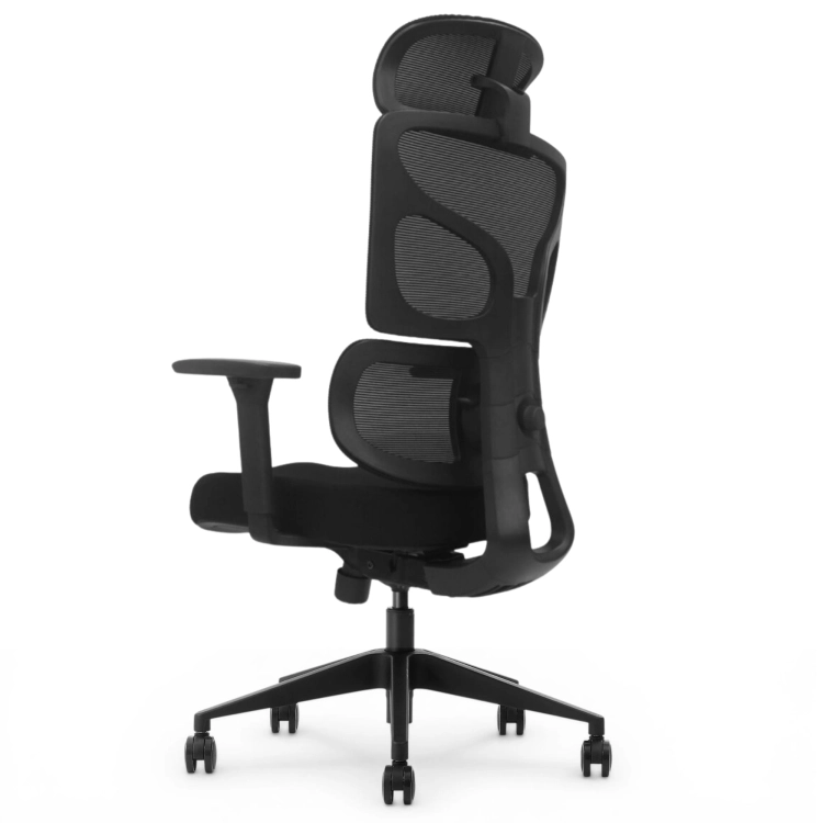 Fotel Ergonomiczny Biurowy ERGONAUT BIONIC Czarny