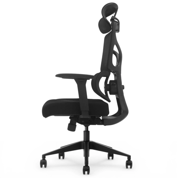 Fotel Ergonomiczny Biurowy ERGONAUT BIONIC Czarny