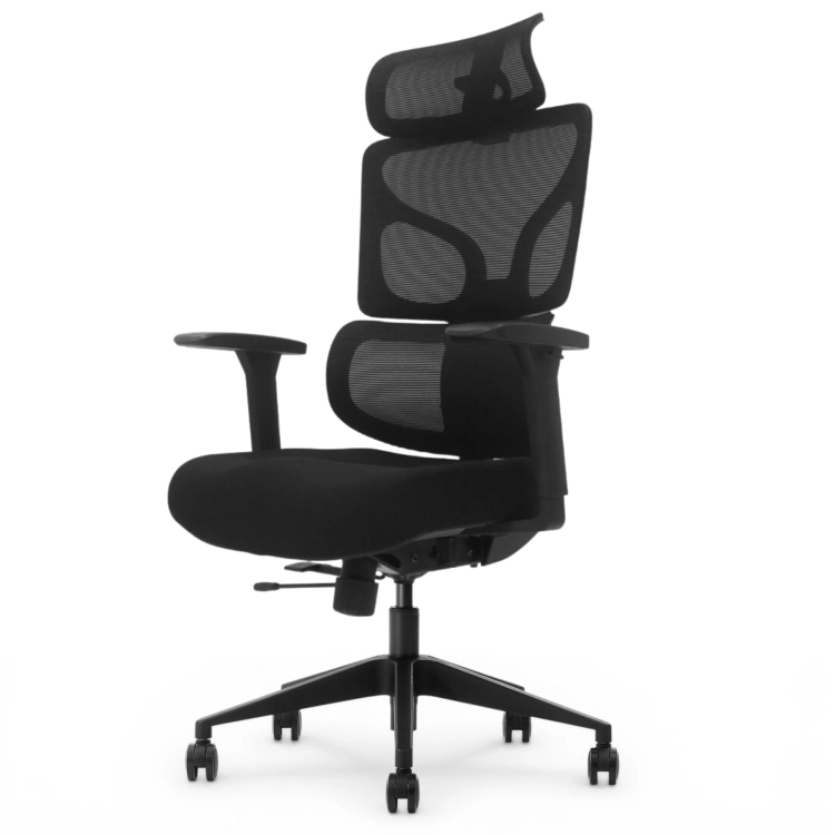 Fotel Ergonomiczny Biurowy ERGONAUT BIONIC Czarny