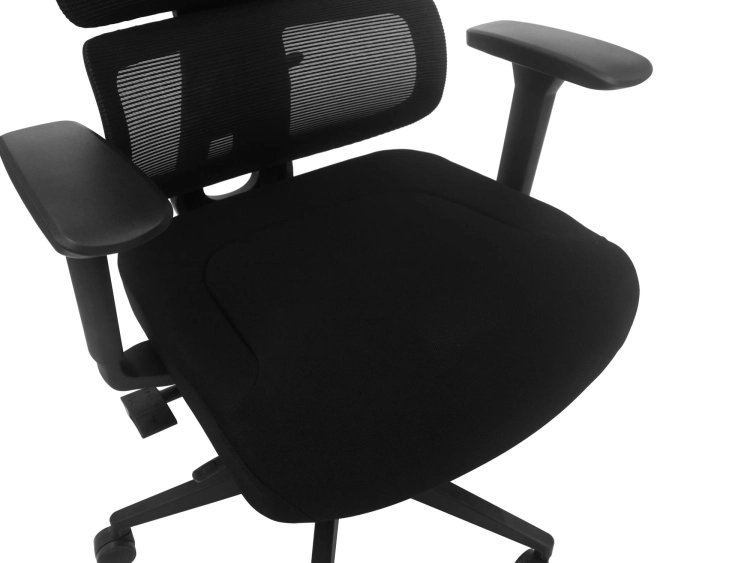 Fotel Ergonomiczny Biurowy ERGONAUT BIONIC Czarny