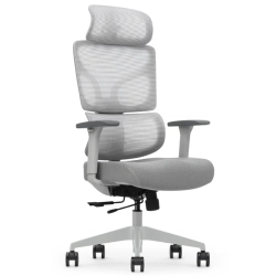 Fotel Ergonomiczny Biurowy ERGONAUT BIONIC Szary
