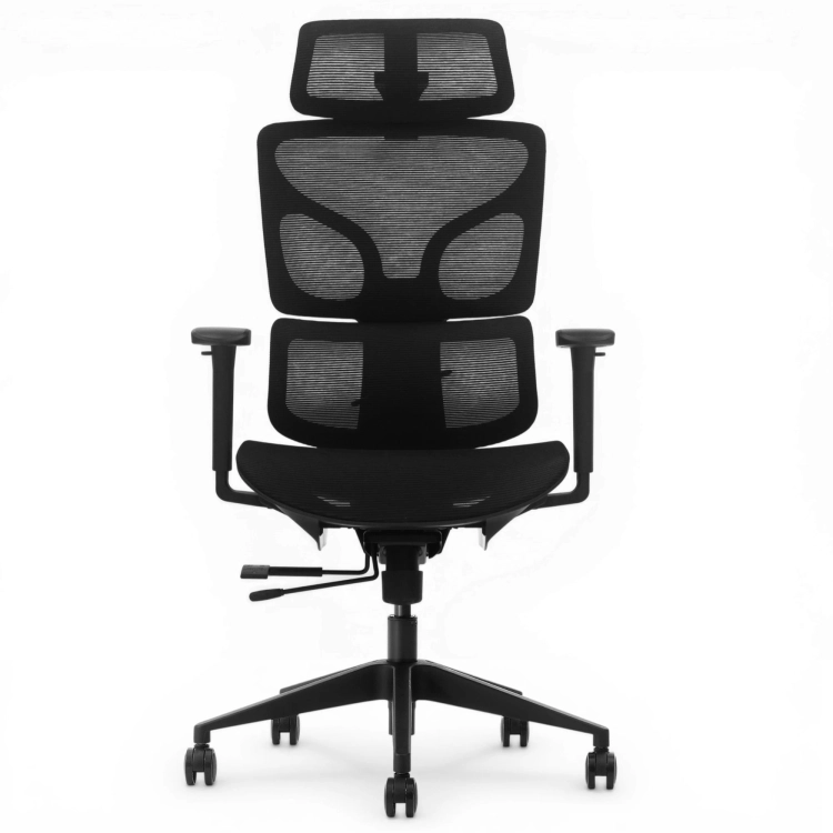 Fotel Ergonomiczny Biurowy ERGONAUT BIONIC AIR Czarny
