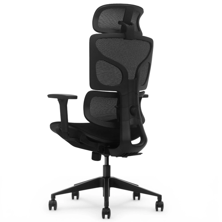 Fotel Ergonomiczny Biurowy ERGONAUT BIONIC AIR Czarny