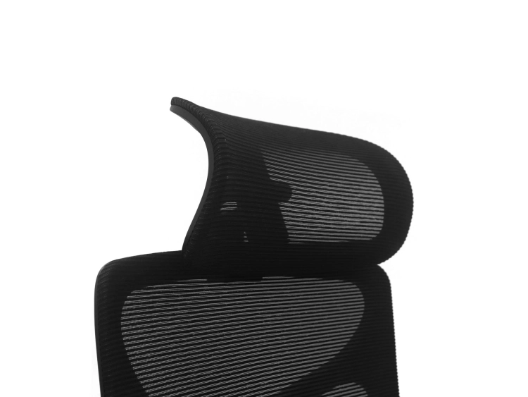 Fotel Ergonomiczny Biurowy ERGONAUT BIONIC AIR Czarny