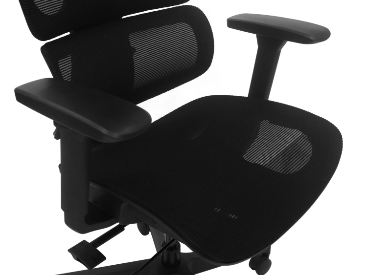 Fotel Ergonomiczny Biurowy ERGONAUT BIONIC AIR Czarny