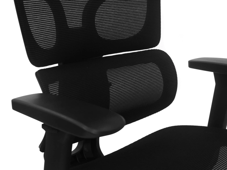 Fotel Ergonomiczny Biurowy ERGONAUT BIONIC AIR Czarny