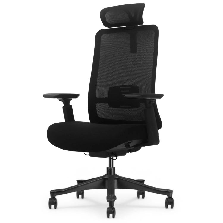 Fotel Ergonomiczny Biurowy ERGONAUT ODYSSEY