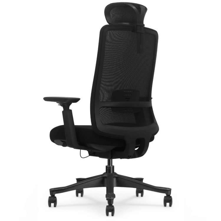 Fotel Ergonomiczny Biurowy ERGONAUT ODYSSEY