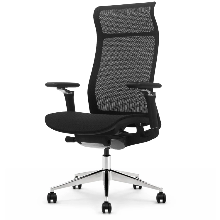 Fotel Ergonomiczny Biurowy ERGONAUT AERO Czarny