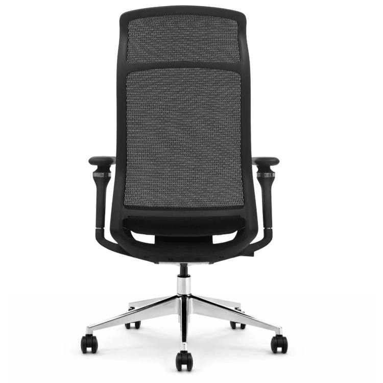 Fotel Ergonomiczny Biurowy ERGONAUT AERO Czarny