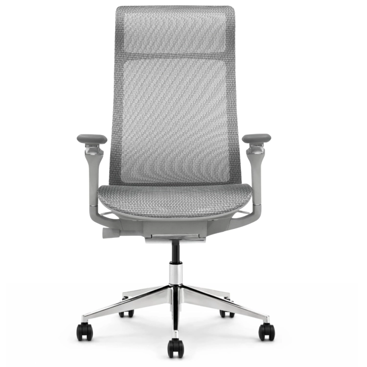 Fotel Ergonomiczny Biurowy ERGONAUT AERO Szary