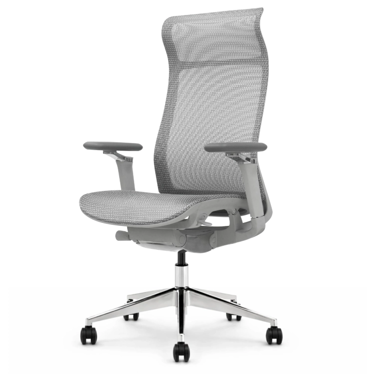 Fotel Ergonomiczny Biurowy ERGONAUT AERO Szary
